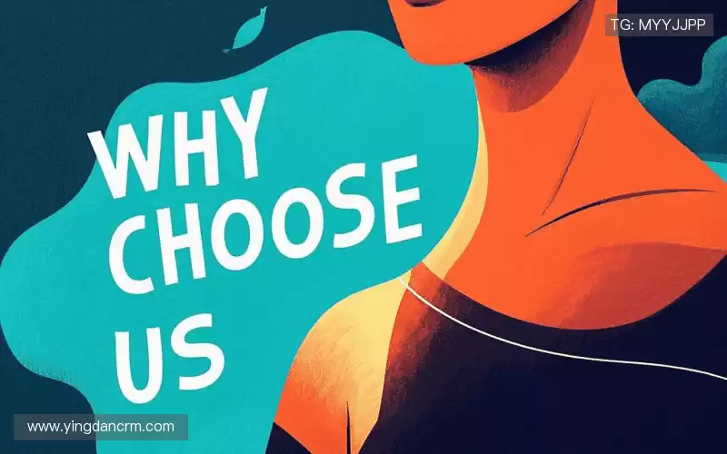 行业领先的理由